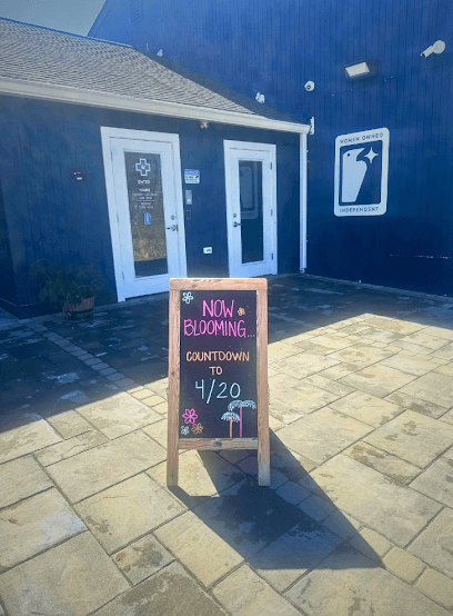 Nightjar East Lyme Dispensary storefront